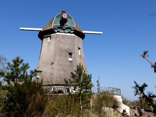 Villa Egmond aan den Hoef Omgeving 35