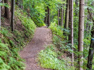 Ferienhaus Gräsmark  13