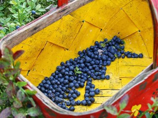 Vakantiehuis Gräsmark  23