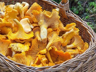 Ferienhaus Gräsmark  4