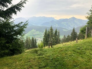 Maison de vacances Wildschönau-Niederau Environnement 30