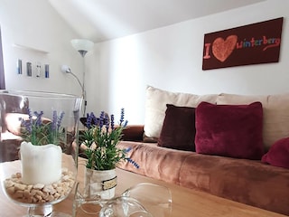 Appartement Winterberg Kenmerken 12