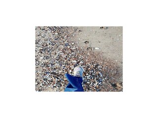 Ferienhaus Breskens Umgebung 36