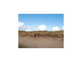 Vakantiehuis Breskens Omgeving 35