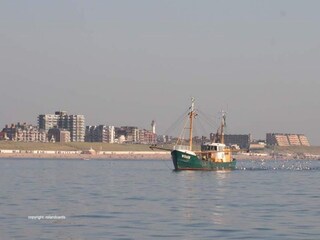 Holiday house Egmond aan Zee  18