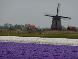 Casa de vacaciones Egmond aan Zee Grabación al aire libre 24