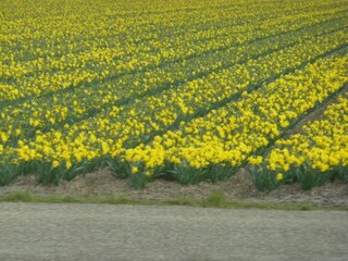 Casa de vacaciones Egmond aan Zee Entorno 18