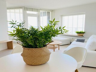 Ferienhaus Egmond aan Zee Ausstattung 6