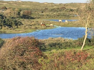 Casa per le vacanze Egmond aan Zee Ambiente 20