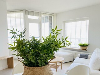 Casa per le vacanze Egmond aan Zee Registrazione all'aperto 2