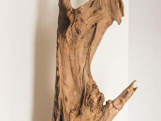 Ferienhaus Egmond aan Zee Außenaufnahme 14