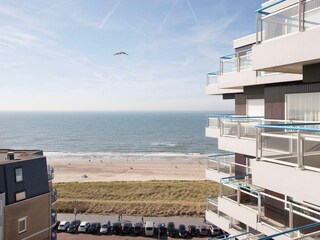 Vakantiehuis Egmond aan Zee Buitenaudio-opname 2