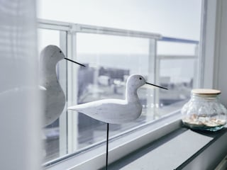 Holiday house Egmond aan Zee Outdoor Recording 3