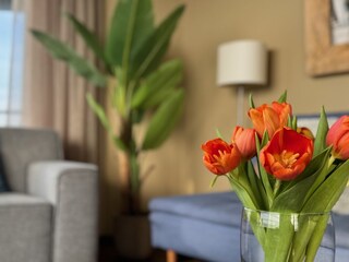 Ferienhaus Egmond aan Zee Ausstattung 27