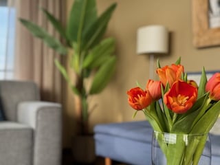 Holiday house Egmond aan Zee Features 27