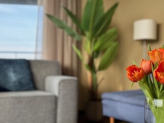 Vakantiehuis Egmond aan Zee Buitenaudio-opname 6