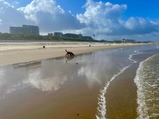 Maison de vacances Egmond aan Zee  16