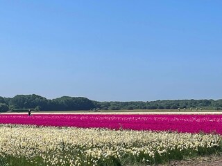 Vakantiehuis Egmond aan Zee  20