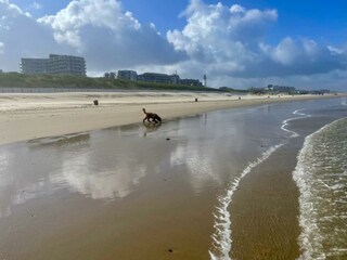 Vakantiehuis Egmond aan Zee Buitenaudio-opname 16