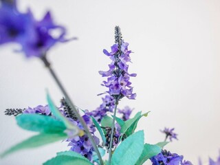 Casa de vacaciones Egmond aan Zee Grabación al aire libre 19