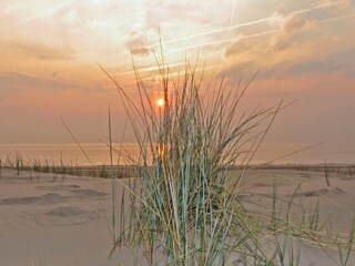 Casa per le vacanze Egmond aan Zee  22