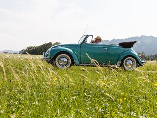Vintage car enthusiasts are very welcome here