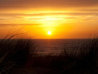 Vakantiehuis Egmond aan Zee  20