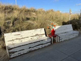 Holiday house Egmond aan Zee Environment 17
