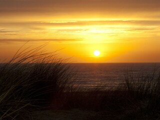 Holiday house Egmond aan Zee Environment 18