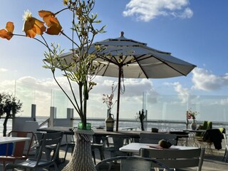 Holiday house Egmond aan Zee Outdoor Recording 16