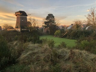 Ferienhaus Egmond aan den Hoef Umgebung 22