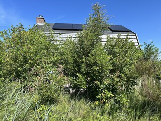 Holiday house Egmond aan den Hoef Outdoor Recording 27