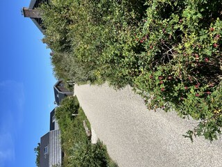 Holiday house Egmond aan den Hoef Outdoor Recording 28