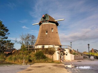 Ferienhaus Egmond aan den Hoef Außenaufnahme 6