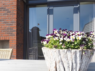 Maison de vacances Egmond aan den Hoef Environnement 41