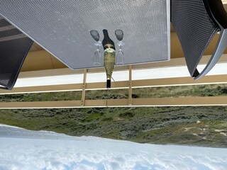 Casa per le vacanze Egmond aan Zee Registrazione all'aperto 2