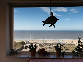 Vakantiehuis Egmond aan Zee Kenmerken 18