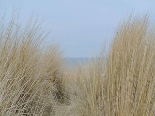 Vakantiehuis Egmond aan Zee Omgeving 21