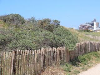 Ferienhaus Egmond aan Zee Umgebung 27