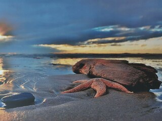 Vakantiehuis Egmond aan Zee  27