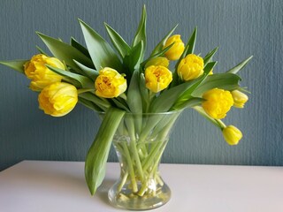 Casa per le vacanze Egmond aan Zee Registrazione all'aperto 8