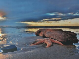Casa de vacaciones Egmond aan Zee Grabación al aire libre 32