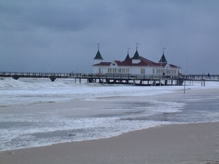 Holiday apartment Heringsdorf (Seebad) Environment 20