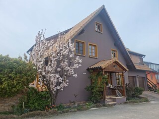 Holiday apartment Heringsdorf (Seebad) Outdoor Recording 1