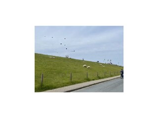 Casa per le vacanze Tossens Ambiente 8