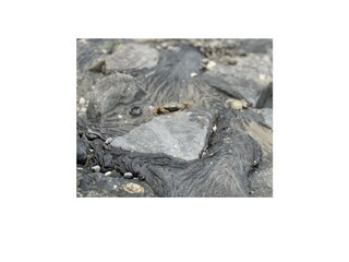 Casa de vacaciones Tossens Entorno 10