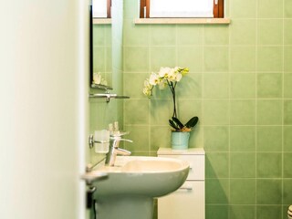 Parco vacanze San Felice del Benaco Caratteristiche 12