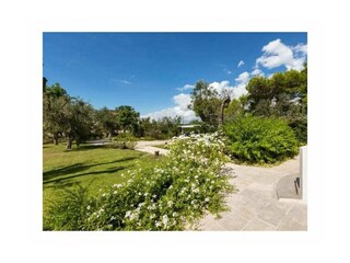 Vakantiehuis Santa Maria di Leuca  26