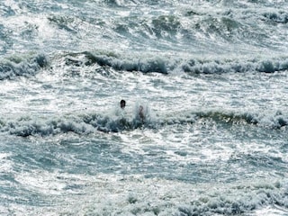 Appartement Zoutelande Omgeving 26