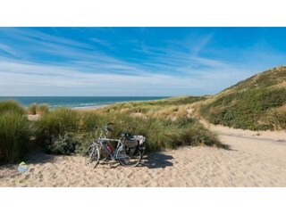 Appartement Zoutelande Omgeving 14